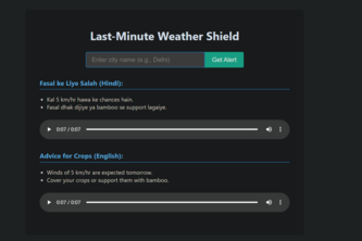 Last-Minute Weather Shield