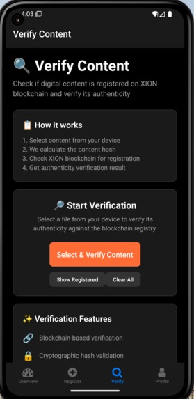 NoirCheck – screenshot 3
