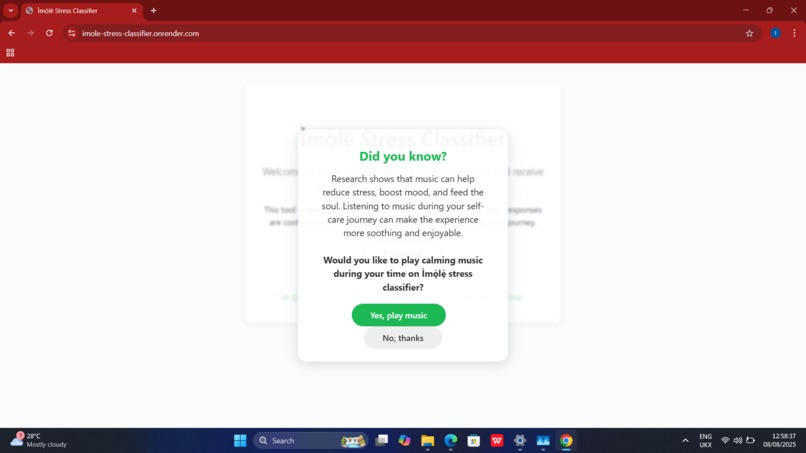 Ìmọ́lẹ̀ Stress Classifier  – screenshot 6