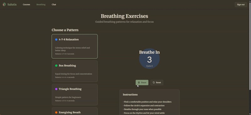 Salutis – screenshot 2