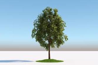 Living World Ecosystem: Emotional AI Tutorial"