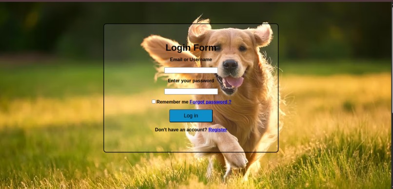 Elegant Login Form – screenshot 1