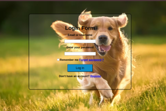 Elegant Login Form