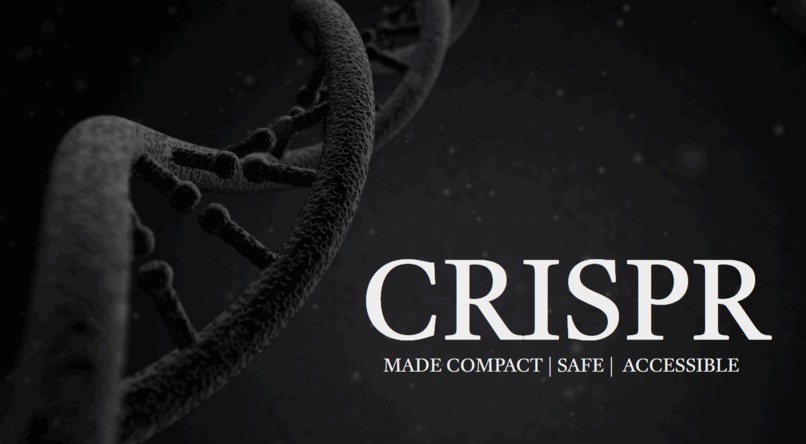 Genie-Phenie – screenshot 1