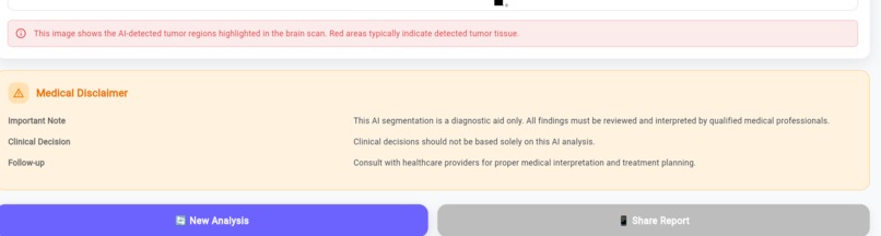 Brain Tumor AI Analyzer – screenshot 5