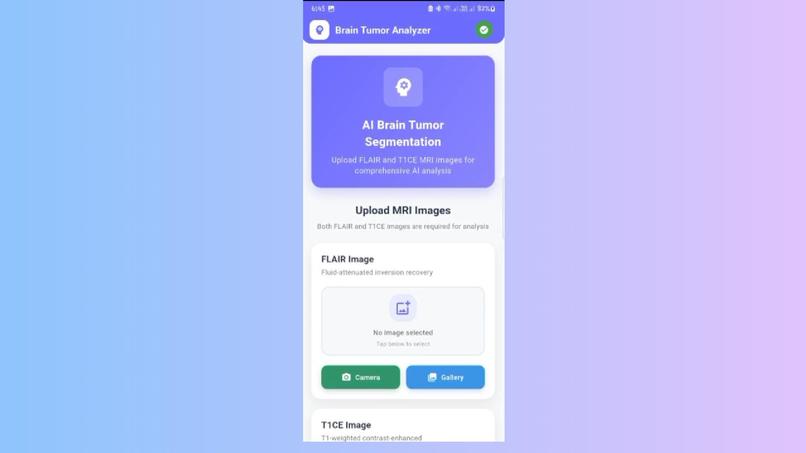 Brain Tumor Detection – screenshot 1