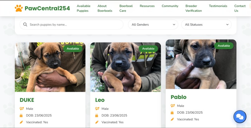 PawCentral254: Ethical Boerboel Adoption Platform – screenshot 1