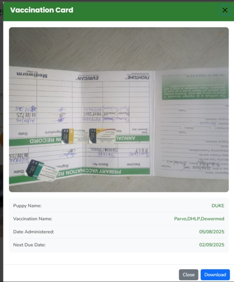 PawCentral254: Ethical Boerboel Adoption Platform – screenshot 7