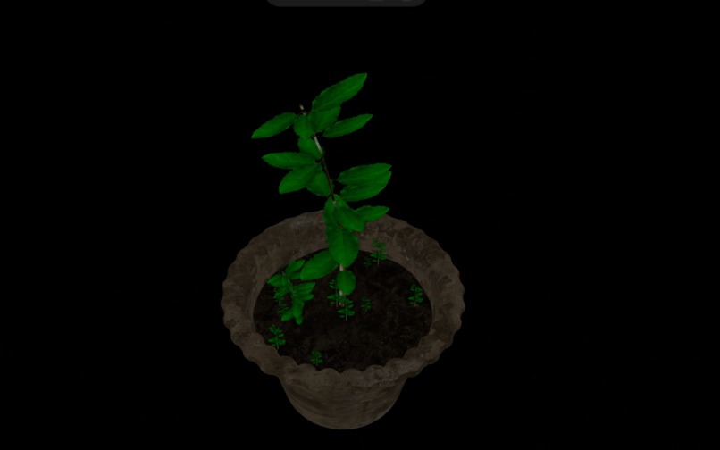 AyurGuide – screenshot 10