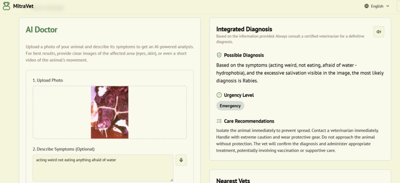 mitravet – screenshot 7