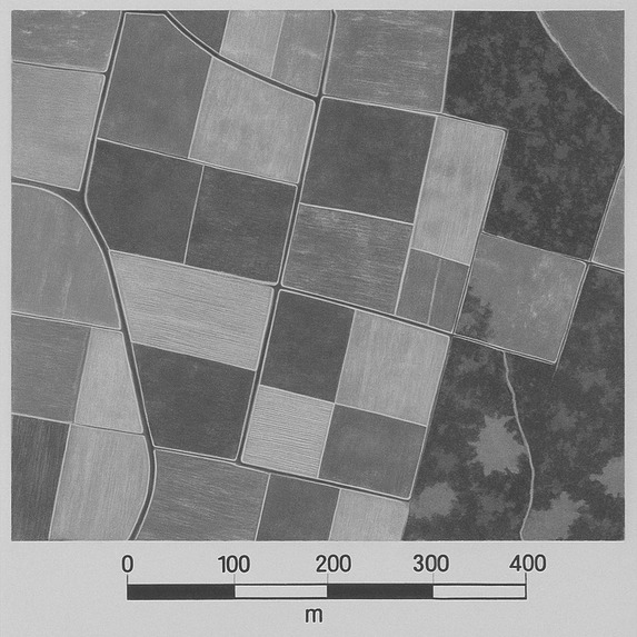 Agri-Sense AI: Satellite Crop Health Monitor – screenshot 3