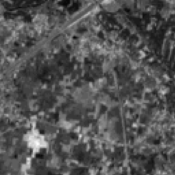 Big Blue Crew – screenshot 1