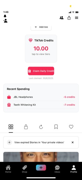 The Dual Ladder – screenshot 1