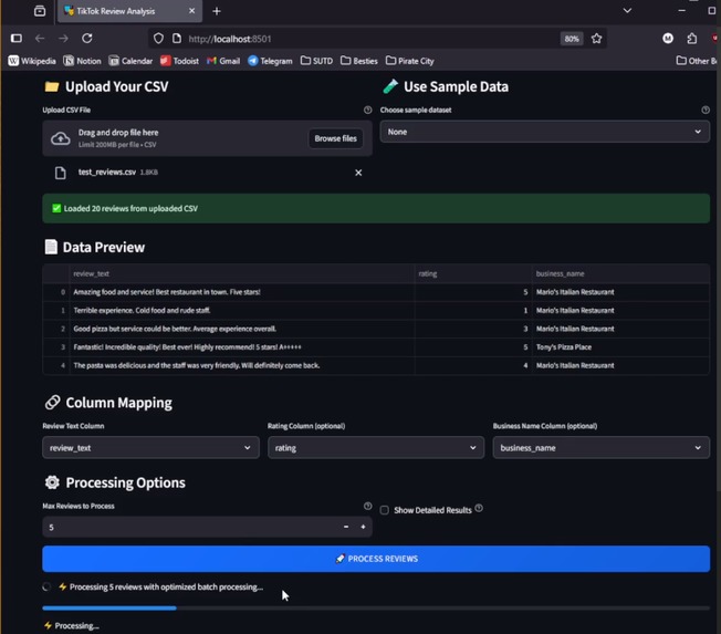 TikTok Review Analysis - AI-Powered Fake Review Detection – screenshot 2