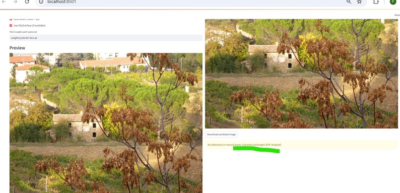 Privacy-First Image Sanitizer  – screenshot 2