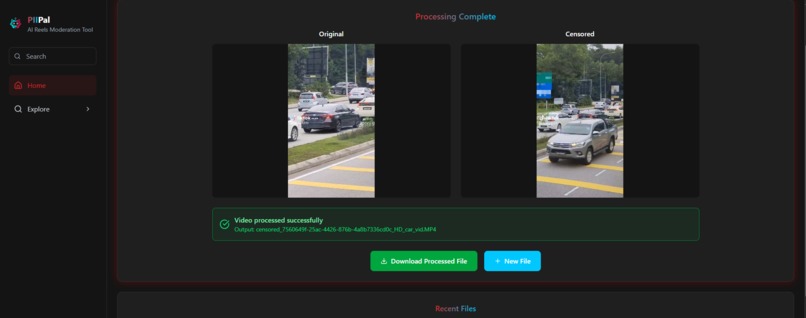 PIIPal – screenshot 2