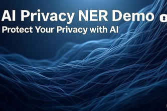 AI Privacy NER Demo