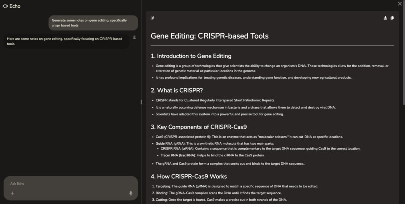 Echo – screenshot 3
