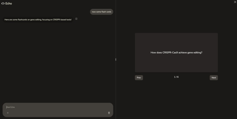 Echo – screenshot 6