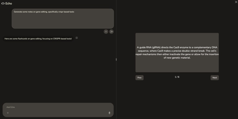 Echo – screenshot 7