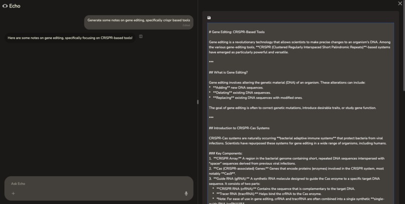 Echo – screenshot 8