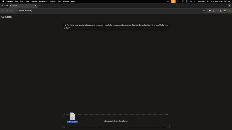 Echo – screenshot 9