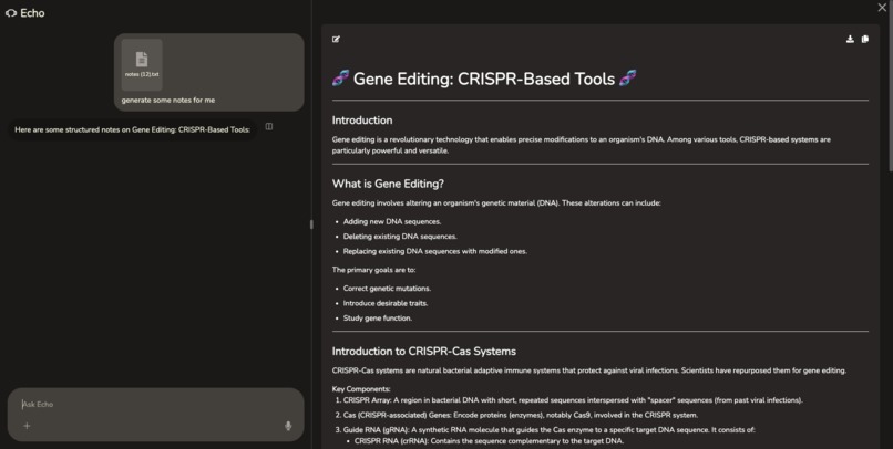 Echo – screenshot 10
