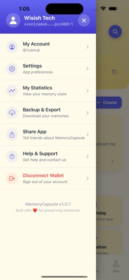Memory Capusle – screenshot 4