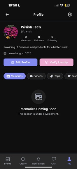 Memory Capusle – screenshot 5