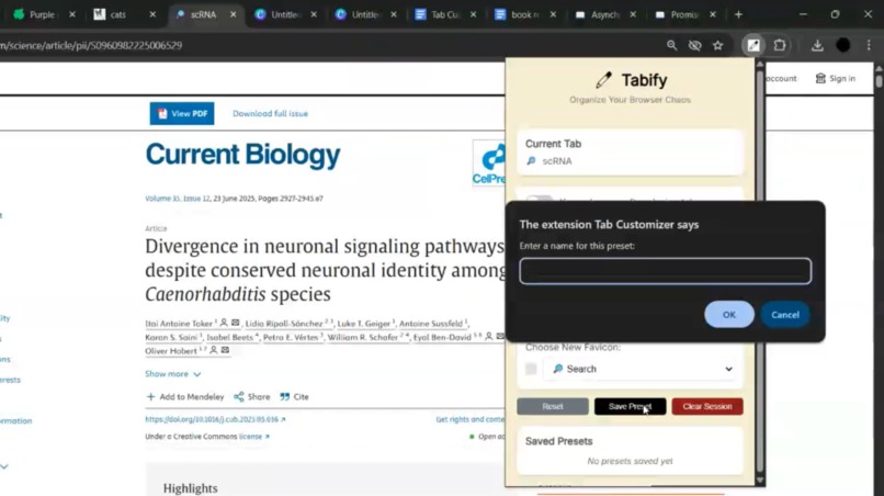 Tabify - Organize Your Browser Chaos – screenshot 1