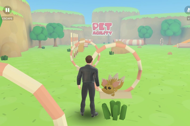 Pet Agility – screenshot 1