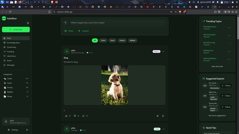 vybeRear – screenshot 1