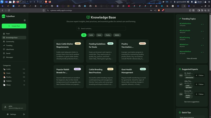 vybeRear – screenshot 2