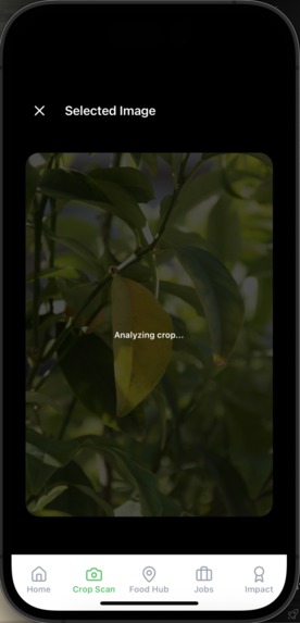 AgriAid – screenshot 14