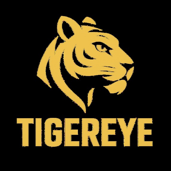 TigerEye – screenshot 1