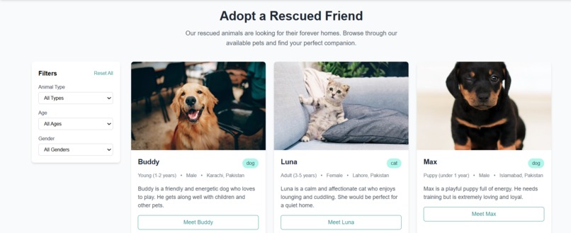 Street Pawtection — Rescue Begins With You – screenshot 7