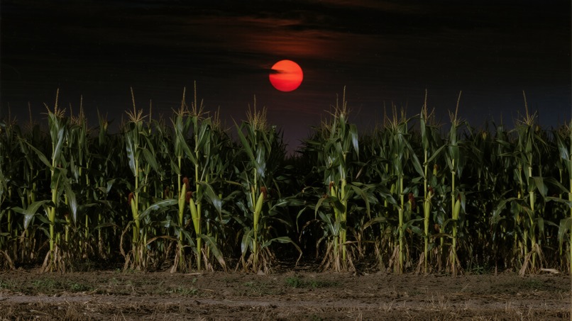 Counting Sheep lullaby (Music Video) – screenshot 2