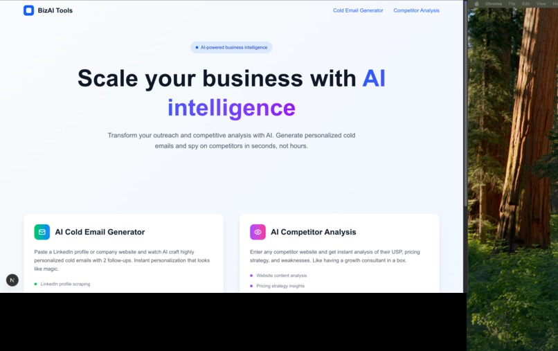 BizAI – screenshot 3