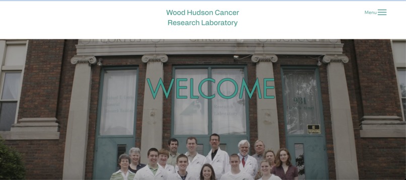 Woodhudson  – screenshot 1