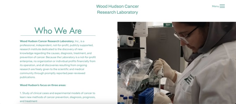 Woodhudson  – screenshot 5