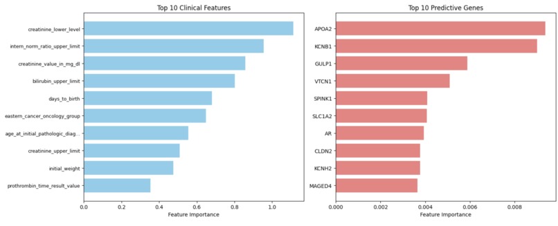 Vitalis – screenshot 3