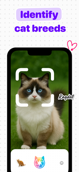Catsnap – screenshot 3