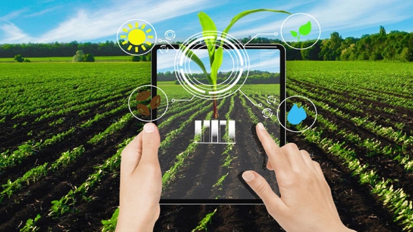 Bihemispheric neural network and intelligent circuits – screenshot 2