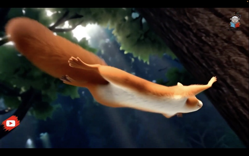 WierszoNutki: W lesie (In the Forest) – screenshot 9