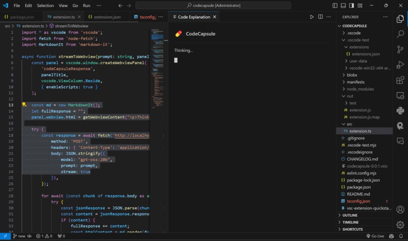 CodeCapsule – screenshot 1