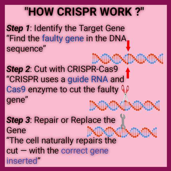 CPISPR ethics explorer – screenshot 1