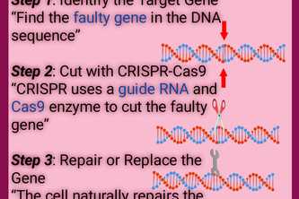 CPISPR ethics explorer