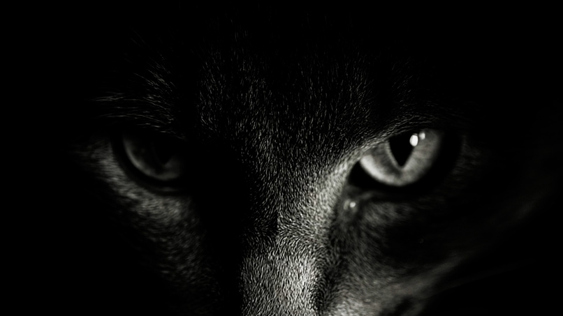 Chatouille Men – screenshot 1