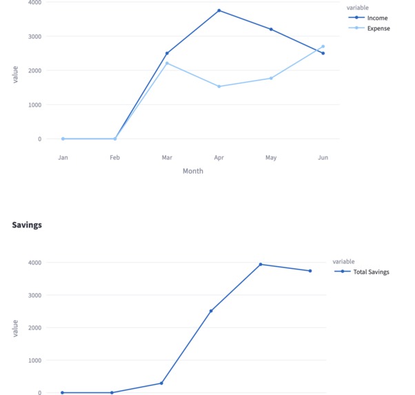 Income & Expense Tracker – screenshot 1
