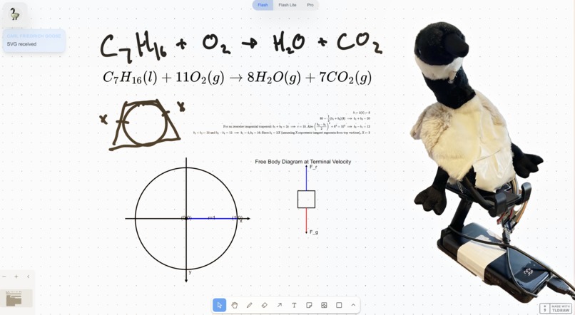 Carl Friedrich Goose – screenshot 1